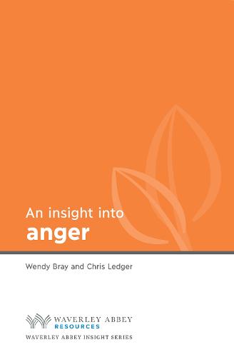 Insight into Anger