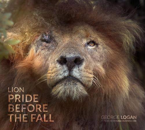 Lion: Pride Before The Fall