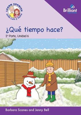 ¿Qué tiempo hace?  (What is the weather like?)