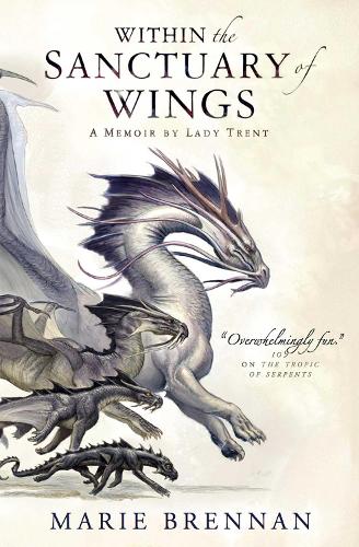 Within the Sanctuary of Wings