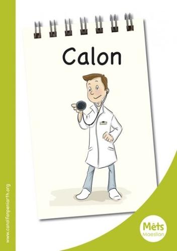 Mêts Maesllan: Calon