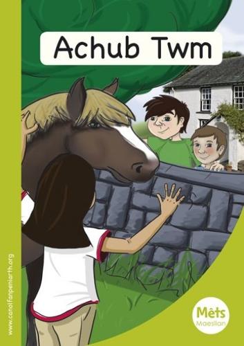 Mêts Maesllan: Achub Twm