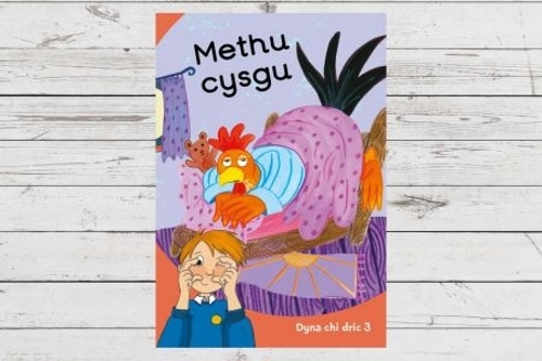 Dyna Chi Dric: Methu Cysgu