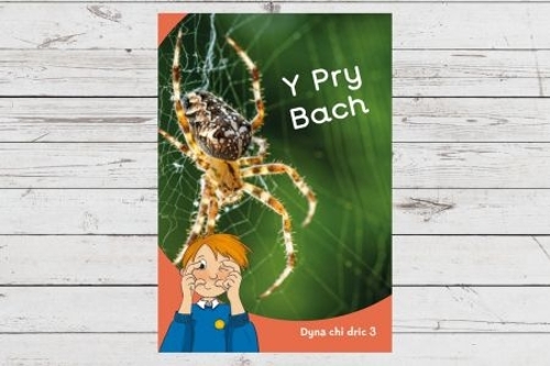 Dyna Chi Dric: Y Pry Bach