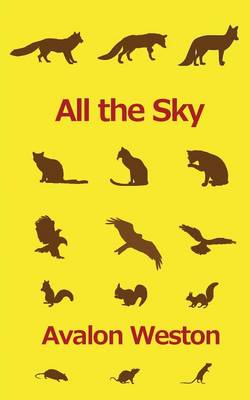 All the Sky