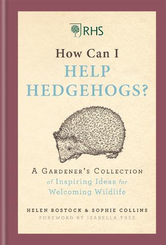 RHS How Can I Help Hedgehogs? by Helen Bostock
