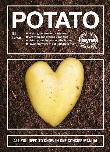 Potato