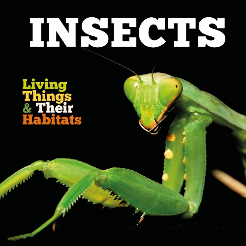 Insects