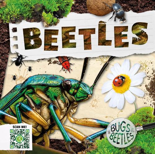 Beetles