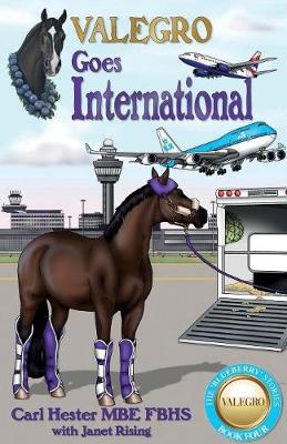 Valegro Goes International