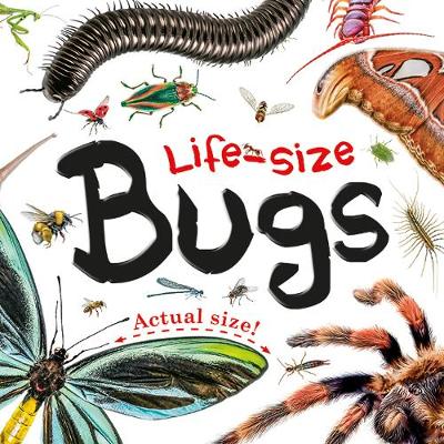 Life-size: Bugs