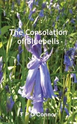 The Consolation of Bluebells