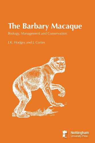 The Barbary Macaque