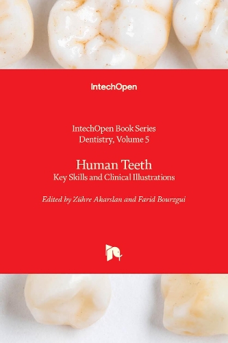 Human Teeth