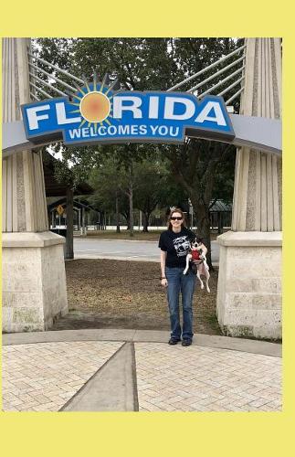 Things to do on Vacation in Florida with your Dog