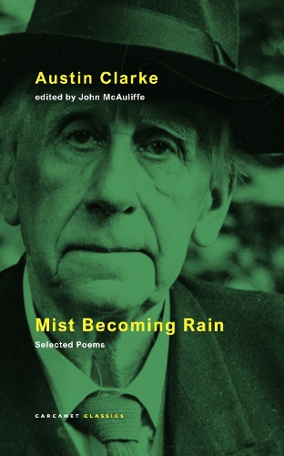 Mist Becoming Rain