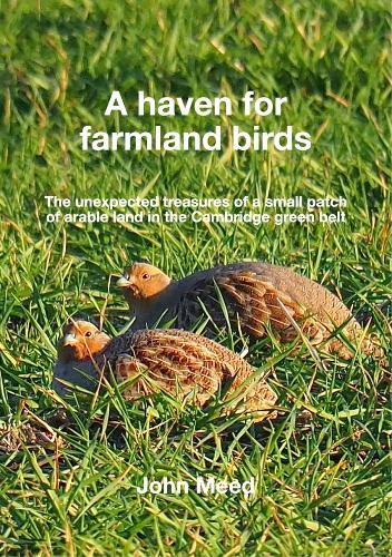 A haven for farmland birds