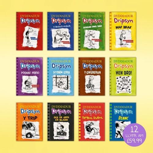 Pecyn Dyddiadur Dripsyn #1-12
