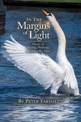 In the Margins of Light