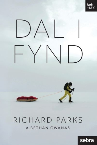 Stori Sydyn: Dal i Fynd