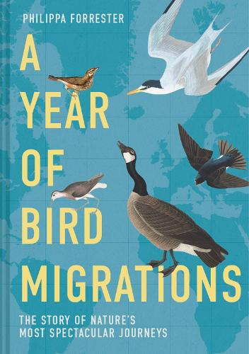 A Year of Bird Migrations
