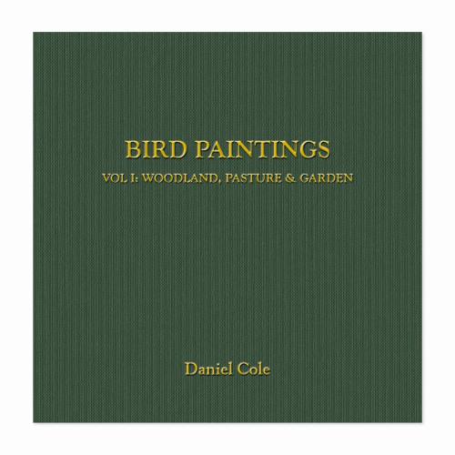 BIRD PAINTINGS