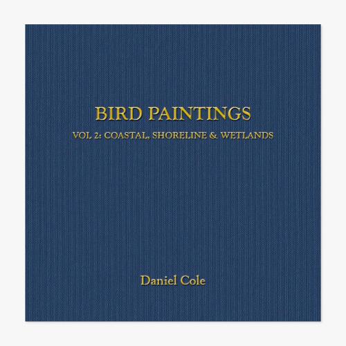 BIRD PAINTINGS