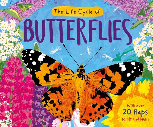 The Life Cycle of Butterflies