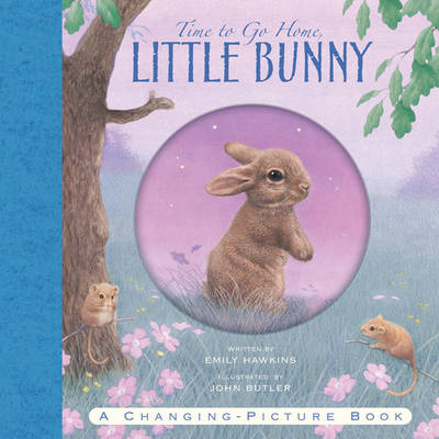 Time To Go Home Little Bunny