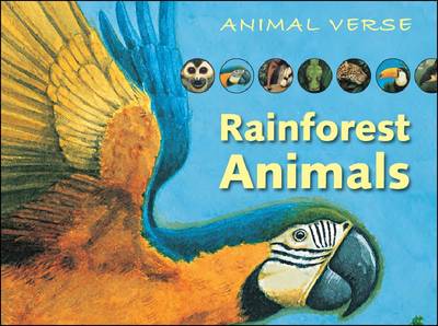 Rainforest Animals