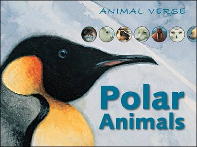 Polar Animals