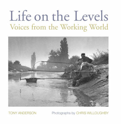 Life on the Levels