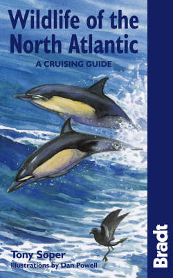 Wildlife of the North Atlantic
