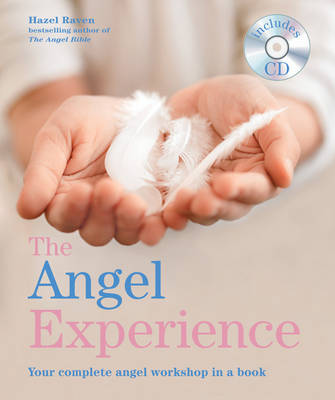 The Angel Experience