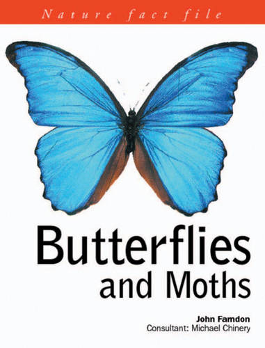 Butterflies and Moths