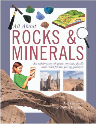 Rocks and Minerals
