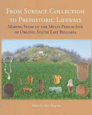 From Surface Collection to Prehistoric Lifeways