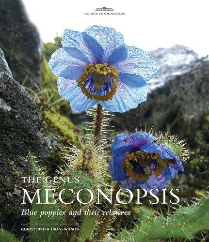 Genus Meconopsis, The
