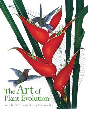 The Art of Plant Evolution