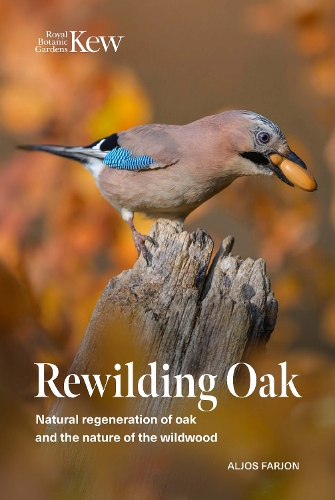 Rewilding Oak