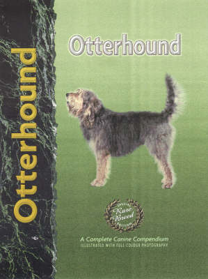 Otterhound