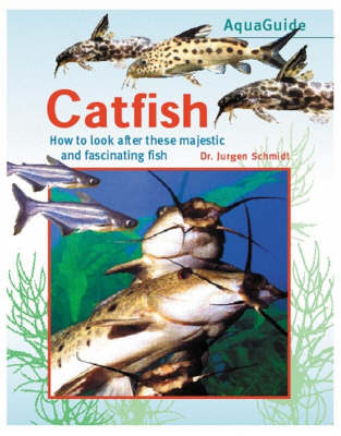 AquaGuide to Catfish