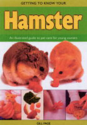 Getting to Know Your Hamster
