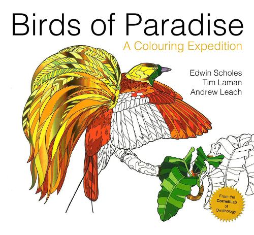 Birds of Paradise