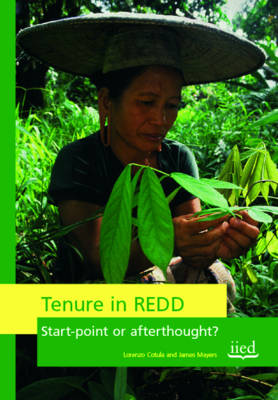 Tenure in REDD