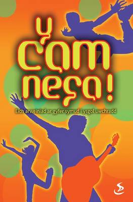 Y Cam Nesa!