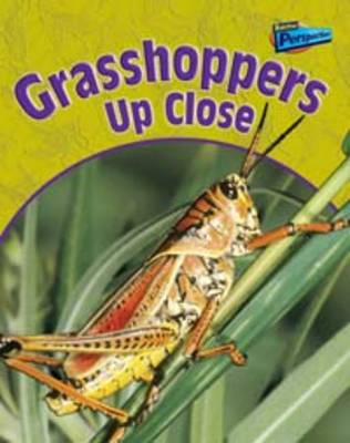Grasshoppers Up Close