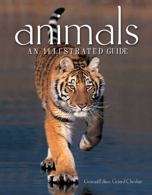 Animals
