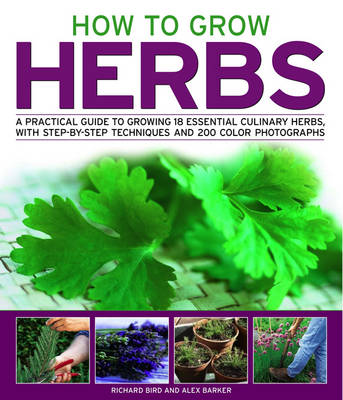 How to Grow Herbs