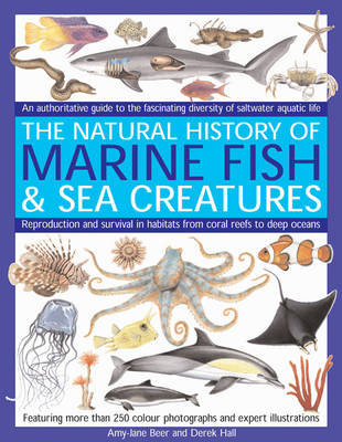 Marine Fish